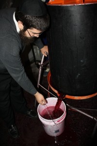 photo - Pressing of the wine post fermentation.