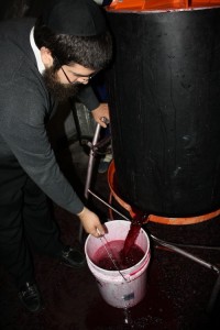 photo - Pressing of the wine post fermentation.