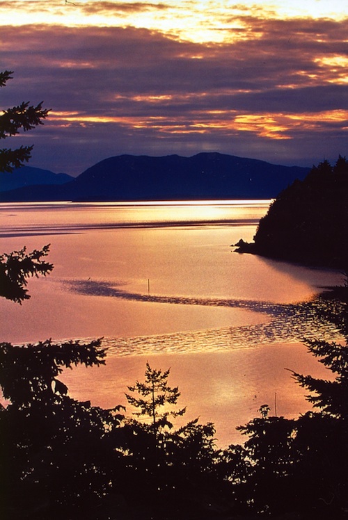 photo - There's immense beauty along Chuckanut Drive whatever time of day you choose to meander those winding roads.