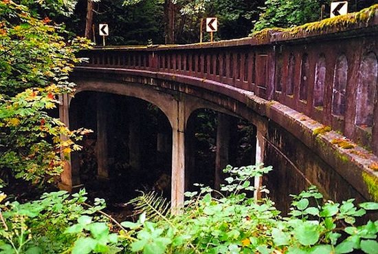 photo - There are continuous canopies of trees shading the bridges on Chuckanut Drive, a lush landscape of forest and mountain.