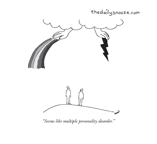 cartoon - "Seems like multiple personality disorder."
