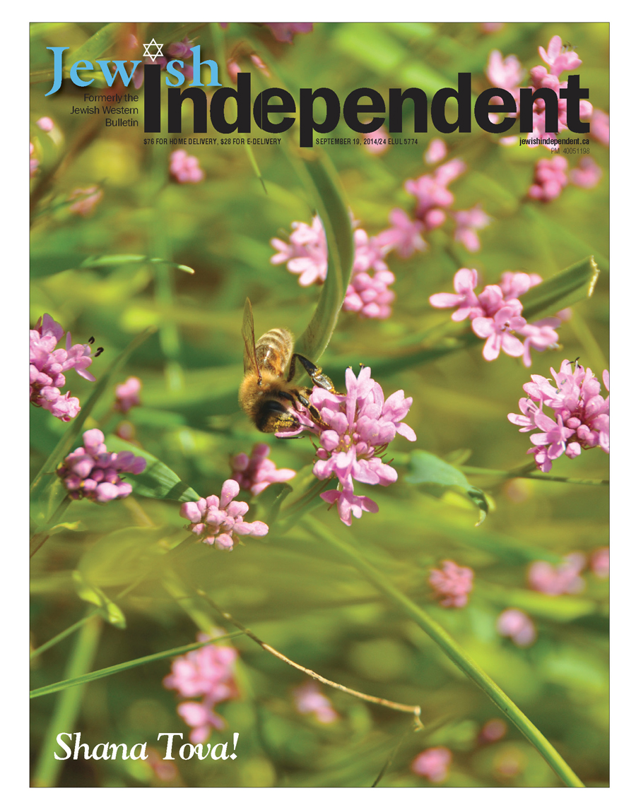 photo - domestic honeybee