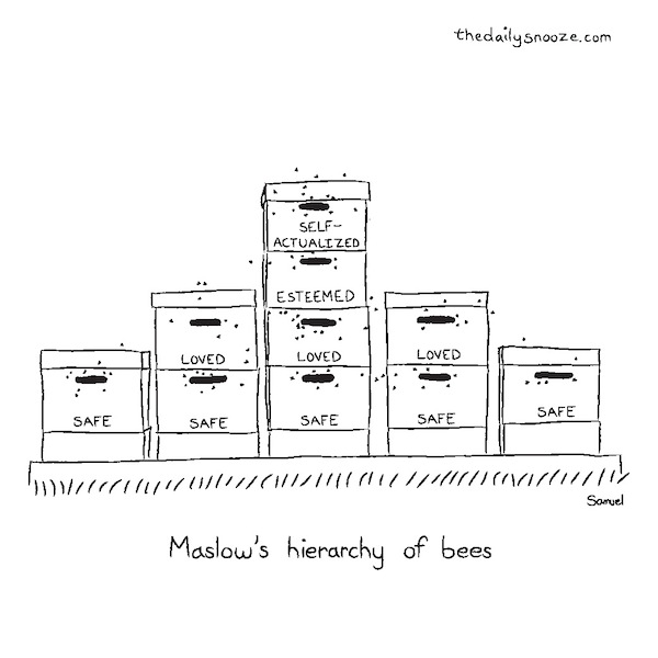 cartoon - Maslow's hierarchy of bees by Jacob Samuel