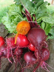 photo - Beets also represent the hope that Israel’s enemies will be kept away