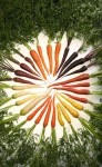 photo - Carrots represent the hope that Israel’s enemies will be “cut off,” or kept away