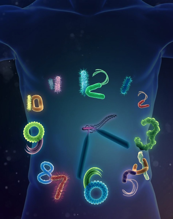image - depiction of a biological clock