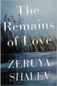 image - The Remains of Love book cover