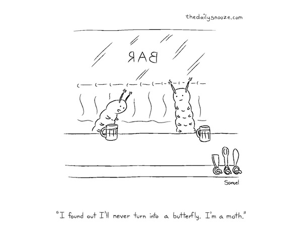 cartoon - "I found out I'll never turn into a butterfly. I'm a moth."