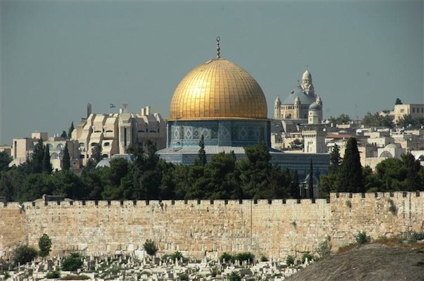 photo - Rosenberg: "I always felt that Israel is my country...."