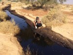 photo - The Tran-Israel oil pipeline spill near the Evrona Nature Reserve in the Arava Desert has harmed flora and fauna