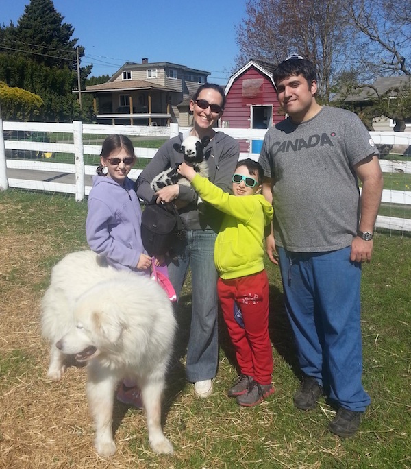 photo - From left to right, are Naomi, Michelle and Max Dodek with Gil Lewinsky in Abbotsford. Michelle is holding a one-day-old Jacob sheep