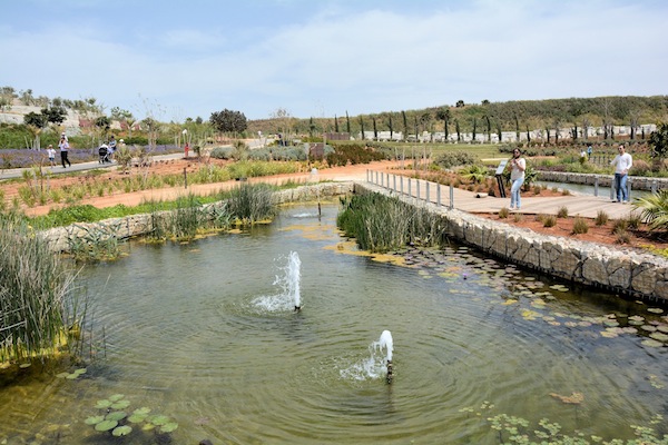 photo - The Tel Hirya reclamation project and urban park, April 2015.