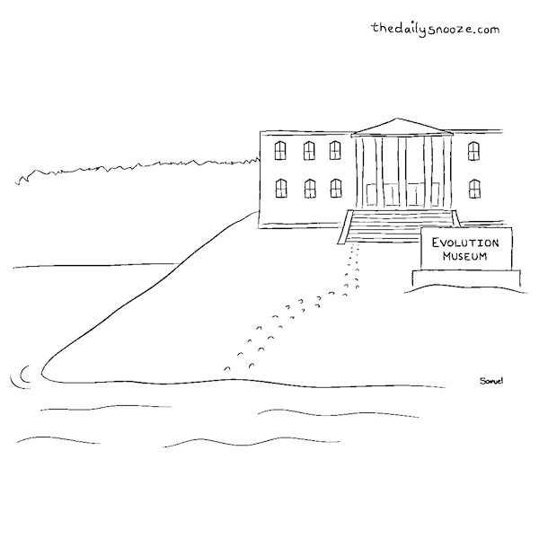 cartoon - Evolution Museum, by Jacob Samuel