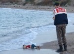 photo - Alan Kurdi