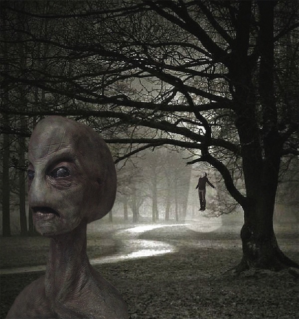 image - Alien Contagion: Rise of the Zombie Syndrome tasks audiences with finding a downed UFO that has crashed on earth. It is the fourth such annual event, the brainchild of Andy Thompson