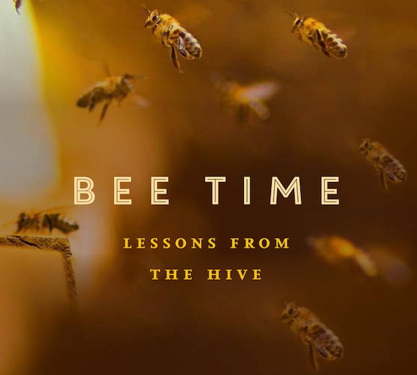 book cover - Bee Time by Mark Winston