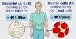 illustration - bacterial vs human cells, from Wiezmann Institute
