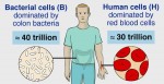 Germs, humans, numbers