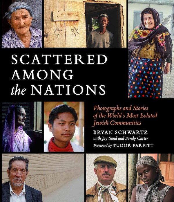 image - Scattered Among the Nations book cover