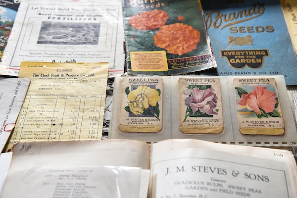 photo - Harold Steves’ collection of heirloom seeds ties to environmental history and issues of sustainability and food security