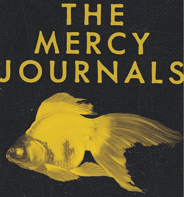 book cover cropped - The Mercy Journals