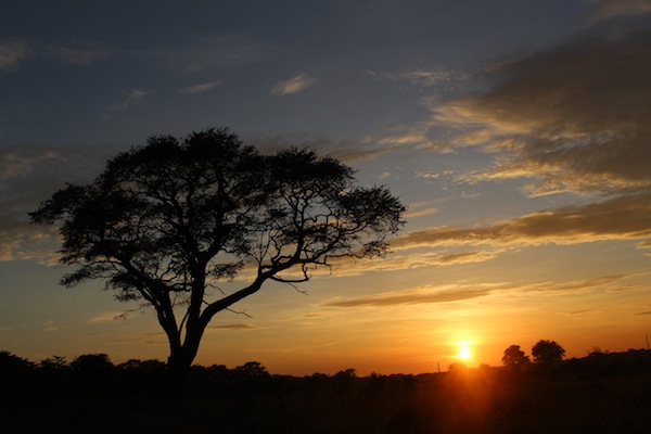 photo - The sun sets on a safari in Zimbabwe’s Hwange National Park