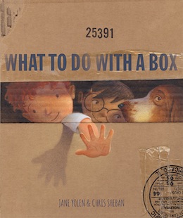 book cover - What to do with a Box