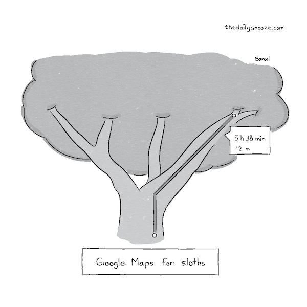 cartoon - Google Maps for sloths, by Jacob Samuel