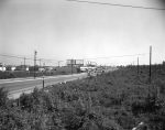 photo - Cambie Street, looking south from 41st Avenue, 1952