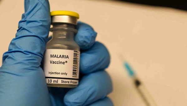 photo - A malaria vaccine based on stabilized proteins could circumvent today’s problems