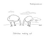 cartoon - "Ostriches making out," by Jacob Samuel