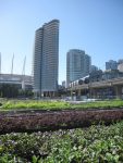 photo - This photo of Sole Food Street Farms in Downtown Vancouver was almost the cover of our Summer Celebration issue, but the more colourful Gastown scene won out