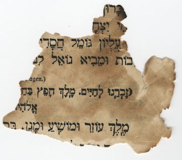 photo - A fragment of a Torah scroll found on the street in Berlin following Kristallnacht, in 1938, part of the VHEC's permanent collection and the exhibit In Focus: The Holocaust Through the VHEC Collection