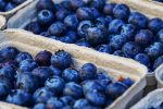 photo - blueberries