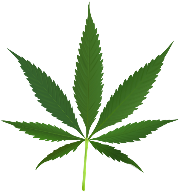 image - WikiProject Cannabis page