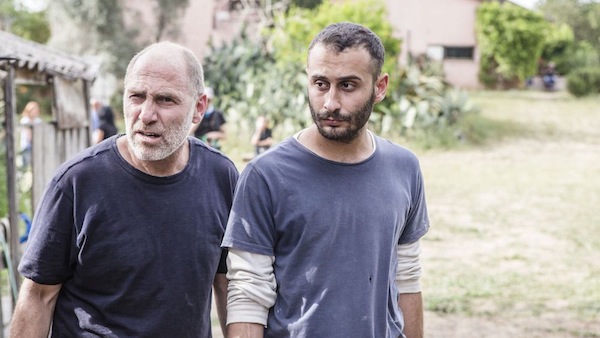 photo - Tzahi Grad, left, and Ala Dakka are great together in The Cousin