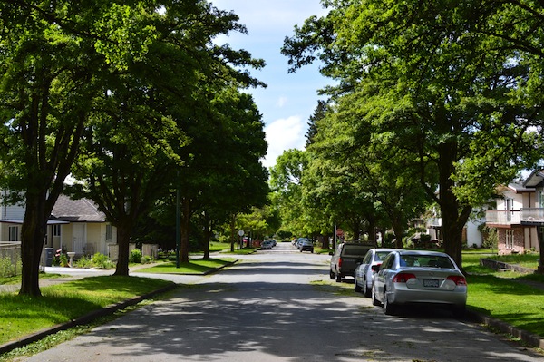 photo - According to talmudic sages, “It is forbidden to live in a town which has no garden or greenery.” (Kiddushin 4:12; 66d)