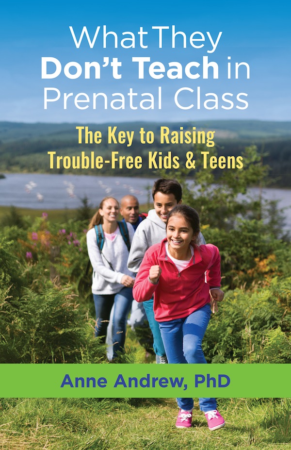 book cover - What They Don’t Teach in Prenatal Class