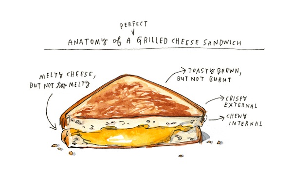 illustration - Salt Fat Acid Heat grilled cheese by Wendy MacNaughton
