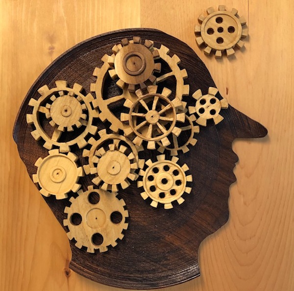 image - Dr. Shimon Amir researches circadian rhythms and clock genes.