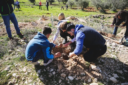 photo - T’ruah students planting trees