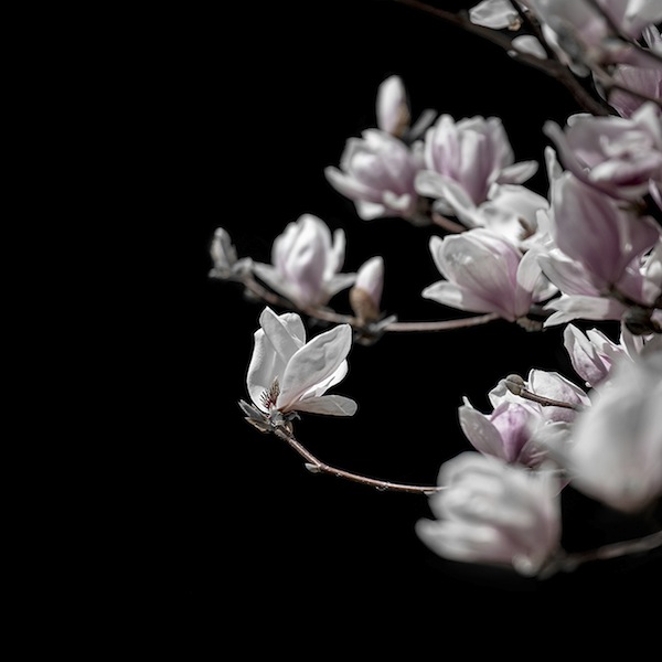 photo - “Wink Wink – Whatcha Looking At?” by Shira Gold