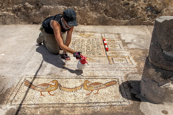 photo - A mosaic revealed during the excavation of the “Burnt Church” in Hippos