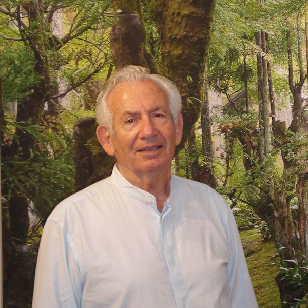 photo - Michael Seelig is donating the proceeds from his exhibit Trees to the Zack Gallery