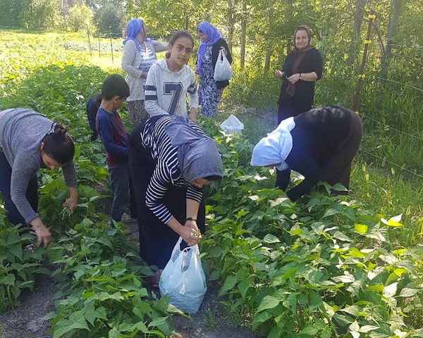 photo - Operation Ezra in Winnipeg has expanded to include farming and selling local produce