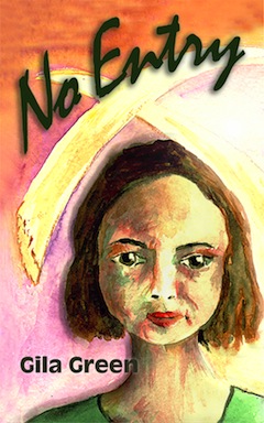 image - No Entry book cover