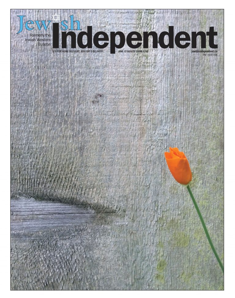 photo - Summer issue cover, 2020