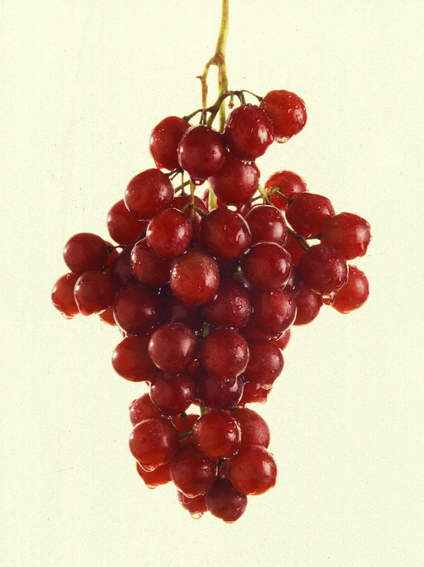 photo - grapes