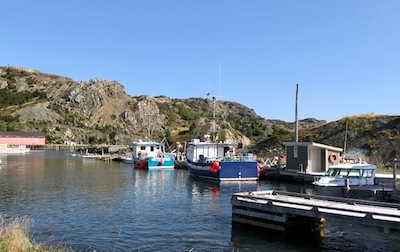 photo - Brigus is a small fishing community located in Conception Bay