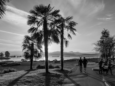 photo - “Tropical Vancouver,” by Michael Shevloff